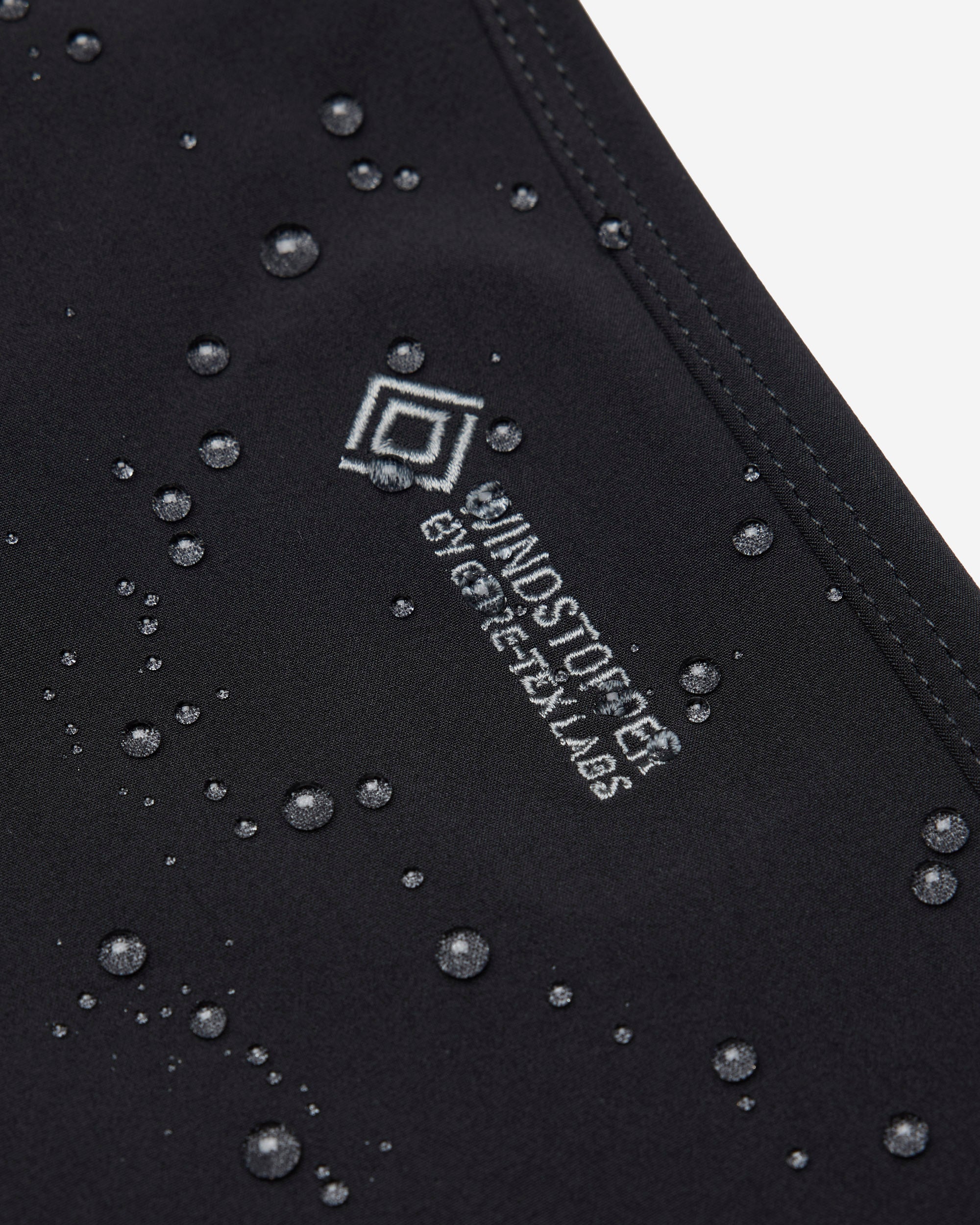 Gore-Tex Windstopper Pivot Relaxed Pant